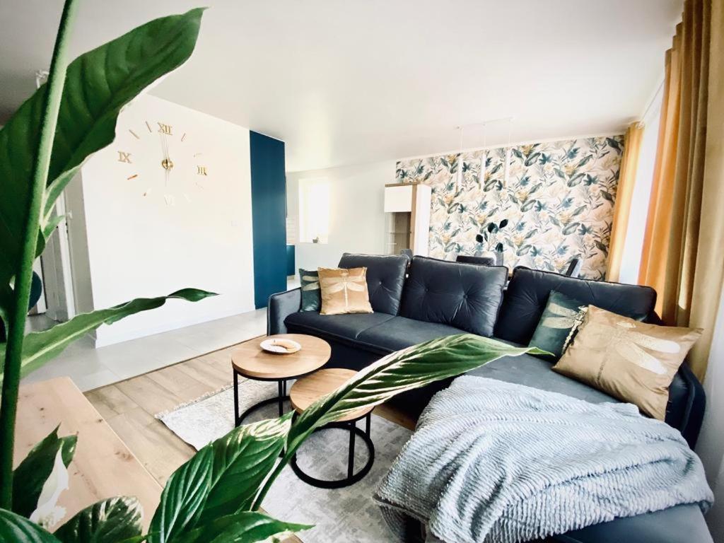 Apartament Krola Sandomir Extérieur photo